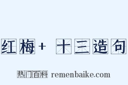红梅+十三造句是什么意思的图片
